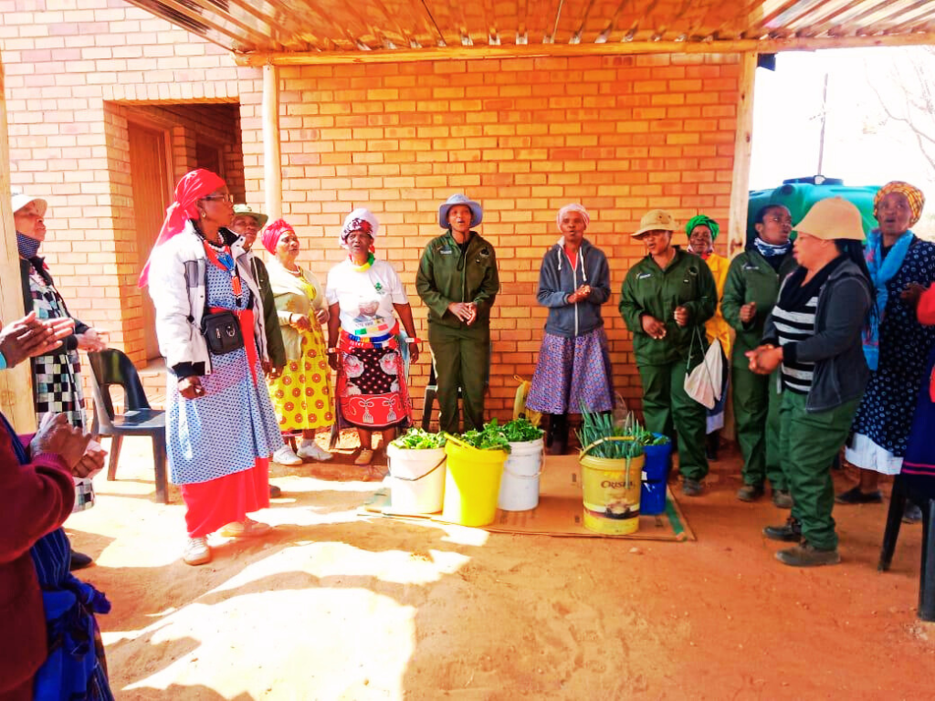 Donating Spinach to Ga-Madiba Clinic