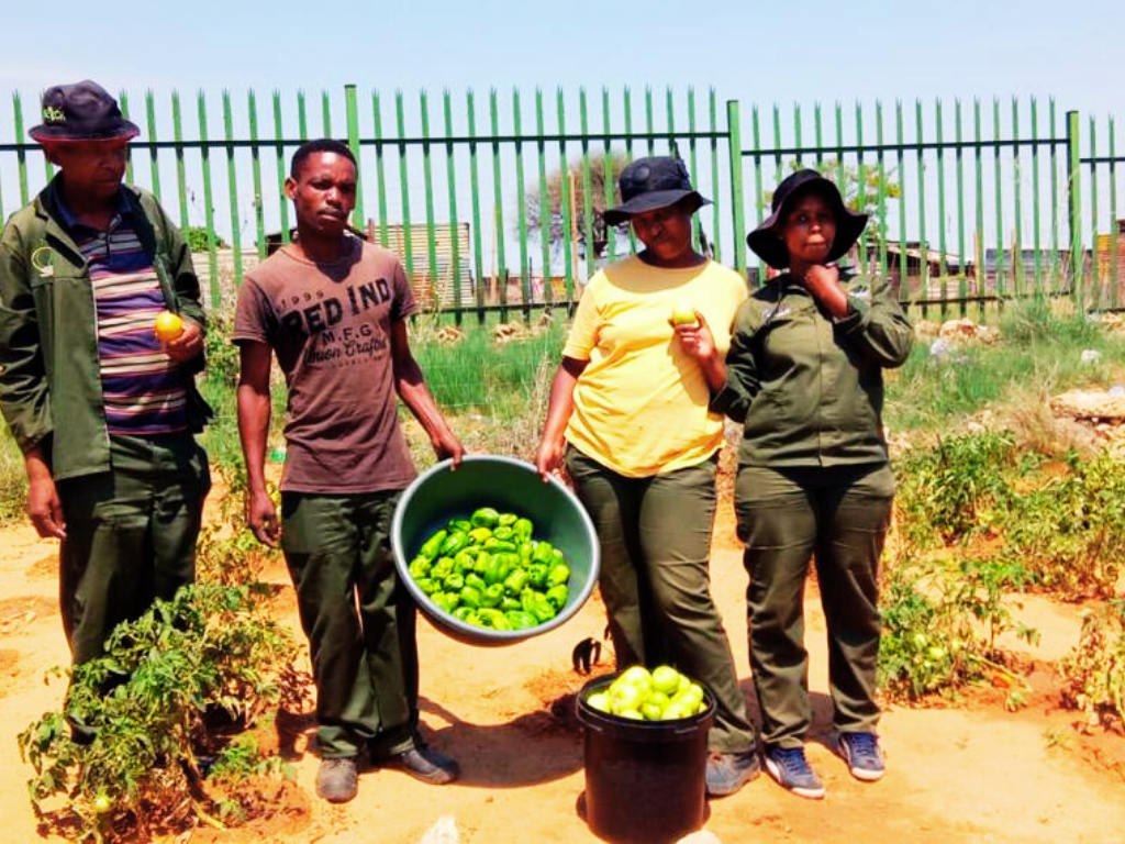 Partnering with Vets & Extension Officers