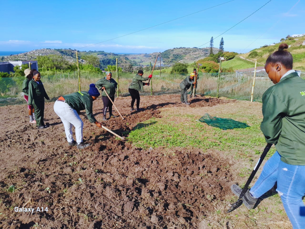 Land Preparation at Malangeni